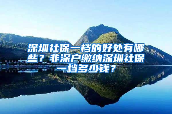 深圳社保一档的好处有哪些？非深户缴纳深圳社保一档多少钱？