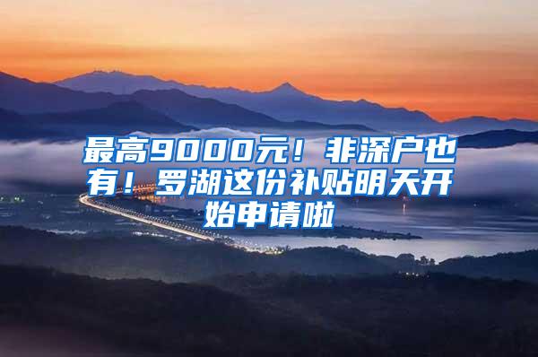 最高9000元！非深户也有！罗湖这份补贴明天开始申请啦