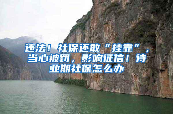 违法！社保还敢“挂靠”，当心被罚，影响征信！待业期社保怎么办