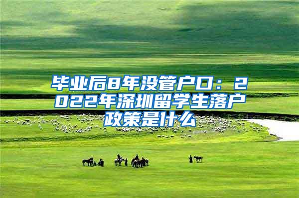 毕业后8年没管户口：2022年深圳留学生落户政策是什么