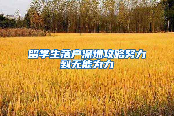 留学生落户深圳攻略努力到无能为力