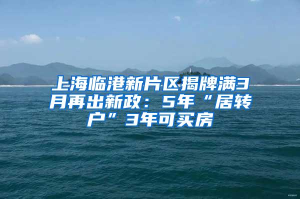 上海临港新片区揭牌满3月再出新政：5年“居转户”3年可买房