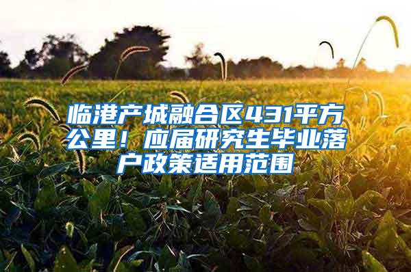 临港产城融合区431平方公里！应届研究生毕业落户政策适用范围