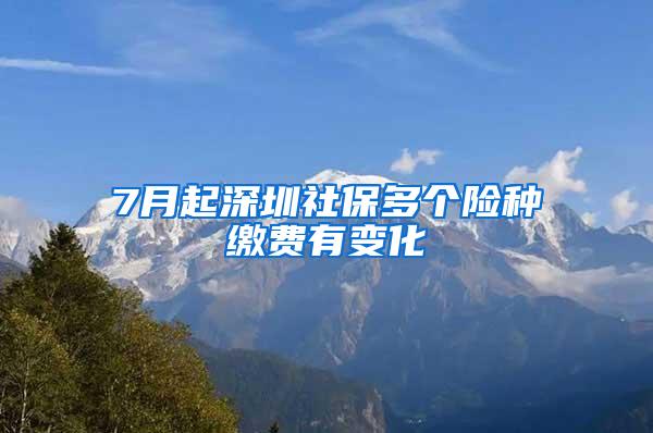 7月起深圳社保多个险种缴费有变化