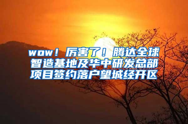 wow！厉害了！腾达全球智造基地及华中研发总部项目签约落户望城经开区