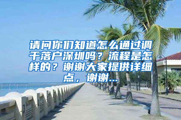 请问你们知道怎么通过调干落户深圳吗？流程是怎样的？谢谢大家提供详细点，谢谢...