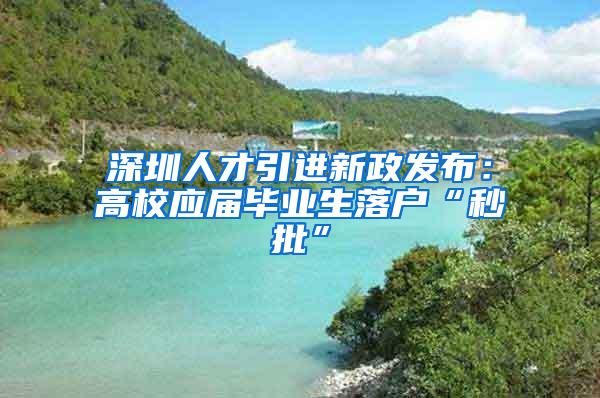 深圳人才引进新政发布：高校应届毕业生落户“秒批”