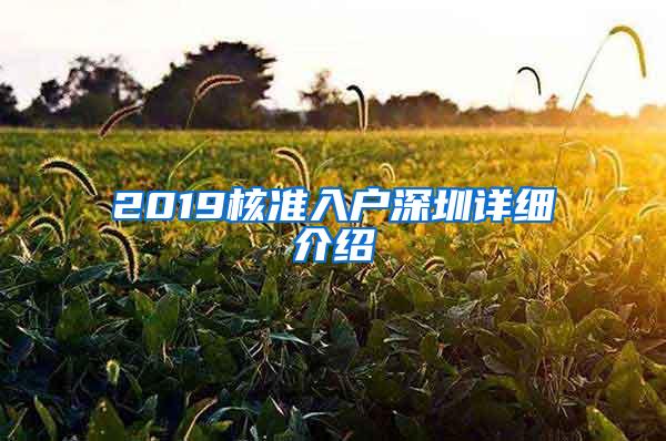 2019核准入户深圳详细介绍