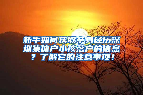 新手如何获取亲身经历深圳集体户小孩落户的信息？了解它的注意事项！