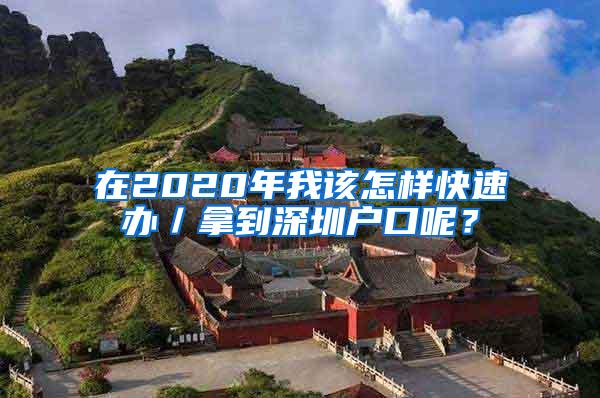 在2020年我该怎样快速办／拿到深圳户口呢？