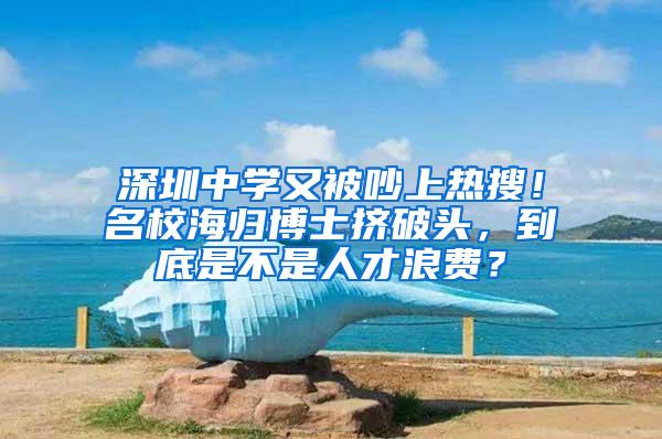 深圳中学又被吵上热搜！名校海归博士挤破头，到底是不是人才浪费？