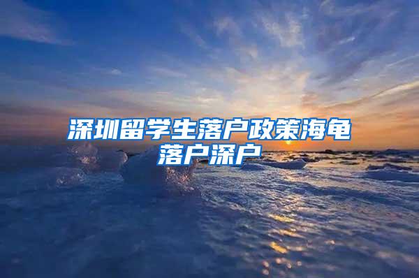 深圳留学生落户政策海龟落户深户