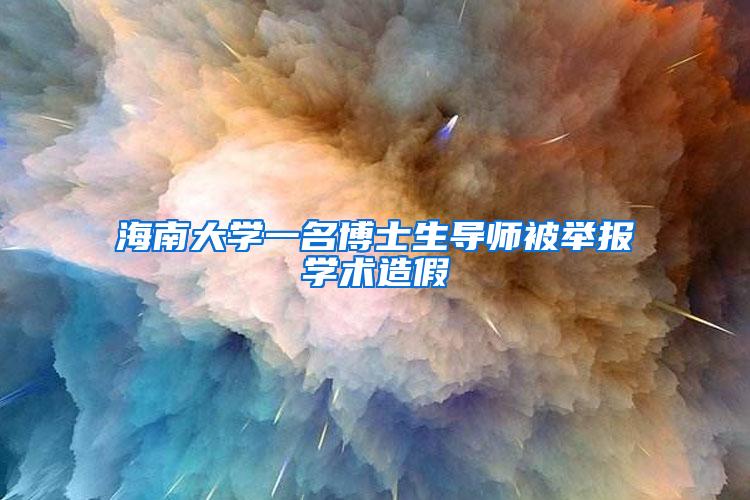 海南大学一名博士生导师被举报学术造假