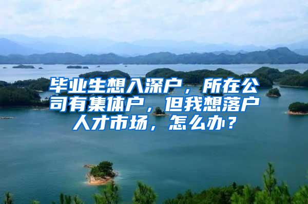 毕业生想入深户，所在公司有集体户，但我想落户人才市场，怎么办？