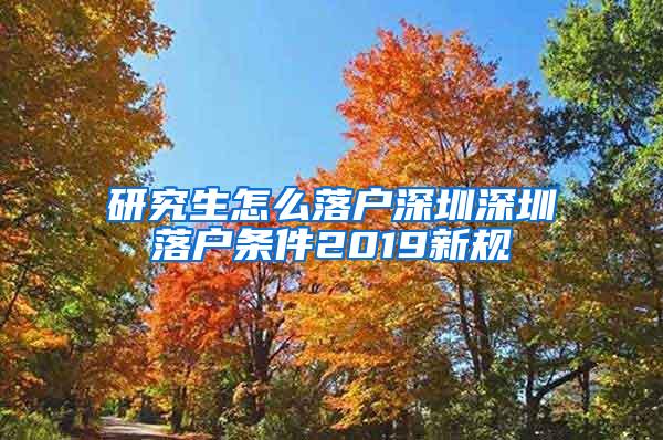 研究生怎么落户深圳深圳落户条件2019新规