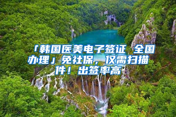 「韩国医美电子签证 全国办理」免社保，仅需扫描件！出签率高