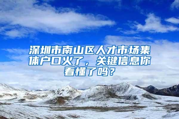 深圳市南山区人才市场集体户口火了，关键信息你看懂了吗？