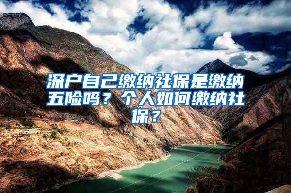 深户自己缴纳社保是缴纳五险吗？个人如何缴纳社保？