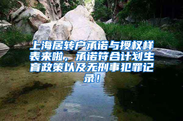 上海居转户承诺与授权样表来啦，承诺符合计划生育政策以及无刑事犯罪记录！