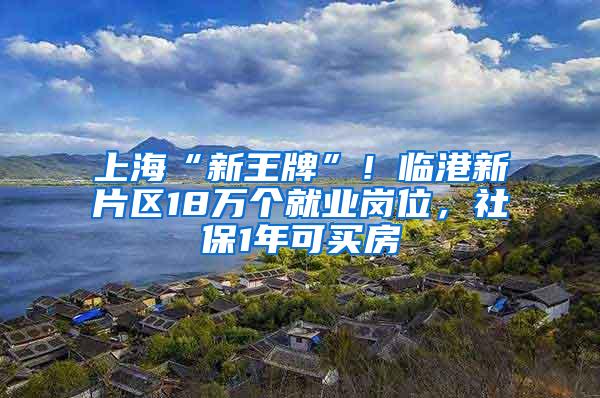 上海“新王牌”！临港新片区18万个就业岗位，社保1年可买房