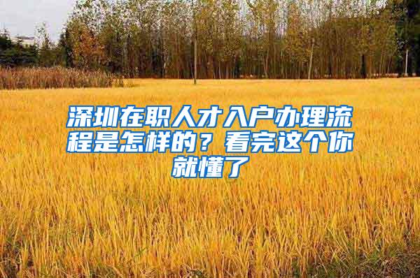 深圳在职人才入户办理流程是怎样的？看完这个你就懂了