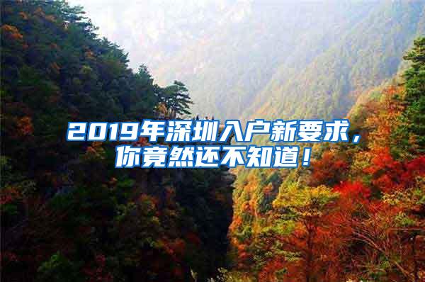 2019年深圳入户新要求，你竟然还不知道！