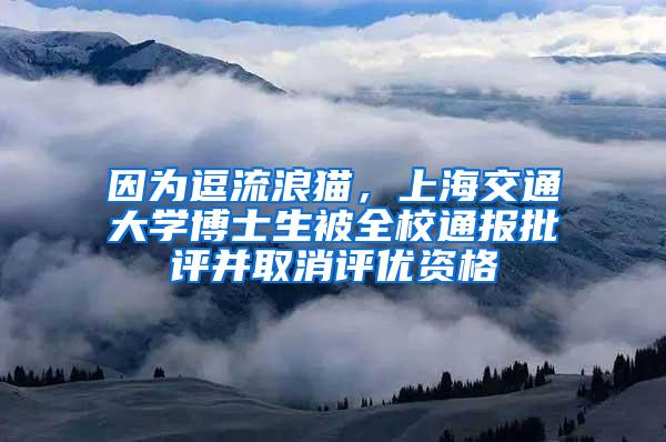 因为逗流浪猫，上海交通大学博士生被全校通报批评并取消评优资格