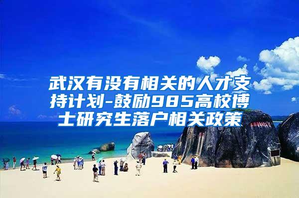 武汉有没有相关的人才支持计划-鼓励985高校博士研究生落户相关政策