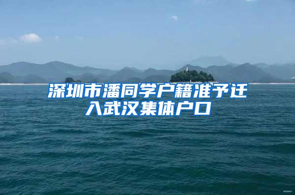 深圳市潘同学户籍准予迁入武汉集体户口