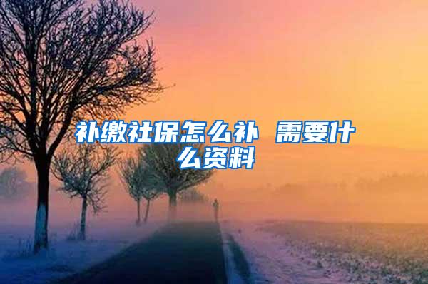 补缴社保怎么补 需要什么资料