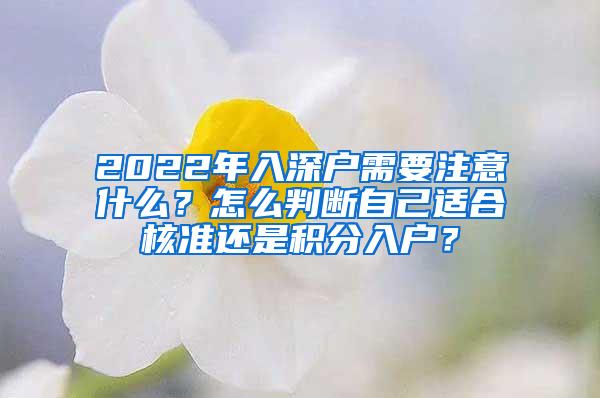 2022年入深户需要注意什么？怎么判断自己适合核准还是积分入户？