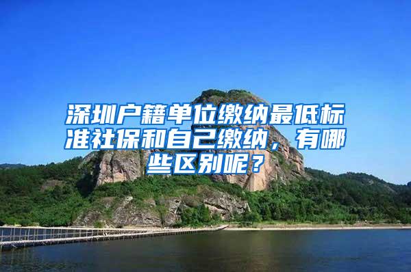 深圳户籍单位缴纳最低标准社保和自己缴纳，有哪些区别呢？