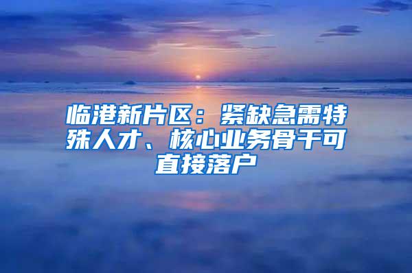 临港新片区：紧缺急需特殊人才、核心业务骨干可直接落户