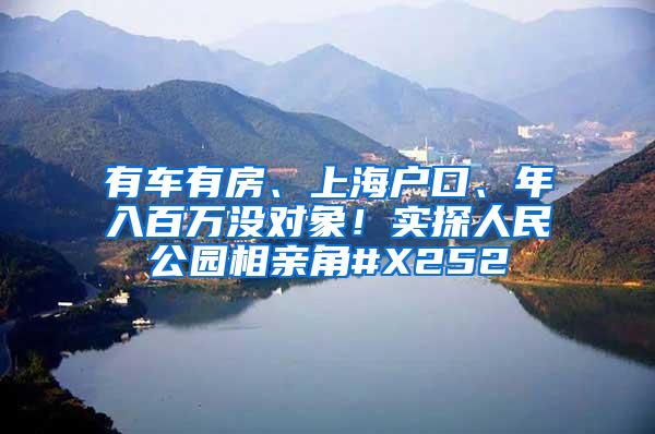 有车有房、上海户口、年入百万没对象！实探人民公园相亲角#X252