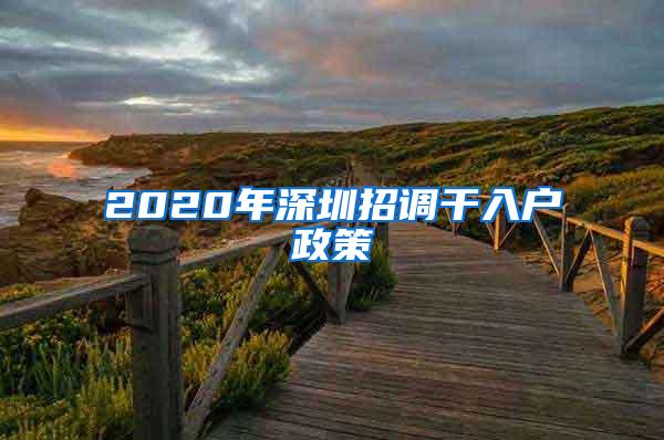 2020年深圳招调干入户政策