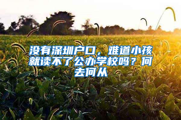 没有深圳户口，难道小孩就读不了公办学校吗？何去何从