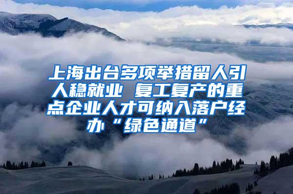 上海出台多项举措留人引人稳就业 复工复产的重点企业人才可纳入落户经办“绿色通道”