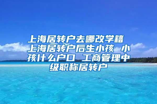 上海居转户去哪改学籍 上海居转户后生小孩 小孩什么户口 工商管理中级职称居转户