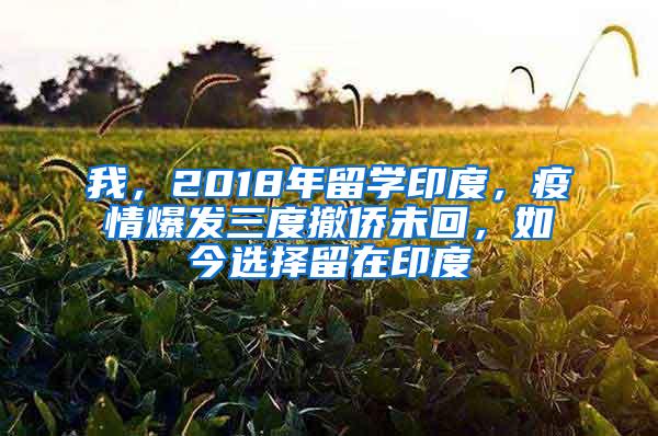 我，2018年留学印度，疫情爆发三度撤侨未回，如今选择留在印度