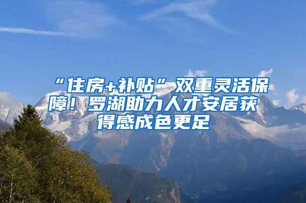 “住房+补贴”双重灵活保障！罗湖助力人才安居获得感成色更足