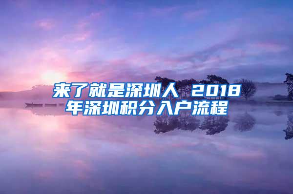 来了就是深圳人 2018年深圳积分入户流程