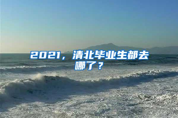 2021，清北毕业生都去哪了？