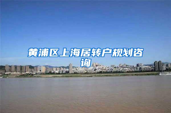 黄浦区上海居转户规划咨询