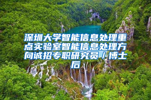 深圳大学智能信息处理重点实验室智能信息处理方向诚招专职研究员／博士后