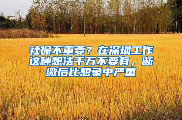 社保不重要？在深圳工作这种想法千万不要有，断缴后比想象中严重