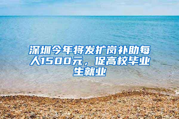 深圳今年将发扩岗补助每人1500元，促高校毕业生就业