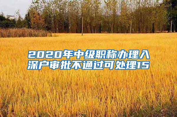 2020年中级职称办理入深户审批不通过可处理15