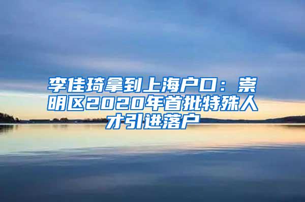 李佳琦拿到上海户口：崇明区2020年首批特殊人才引进落户