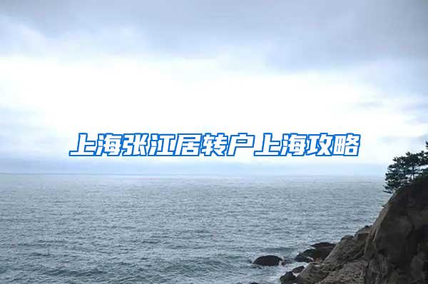 上海张江居转户上海攻略