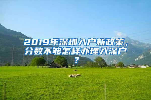 2019年深圳入户新政策，分数不够怎样办理入深户？